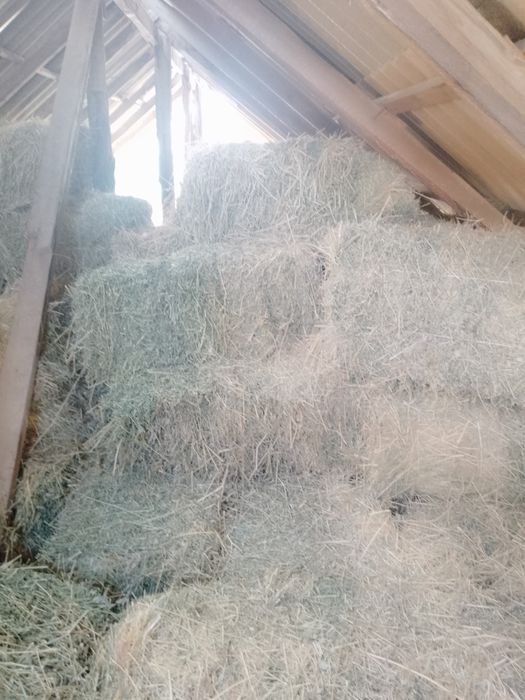 Сено прес большие пресы