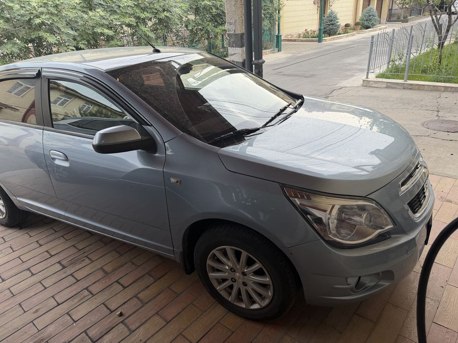 Cobalt avtomat 2015 delfin