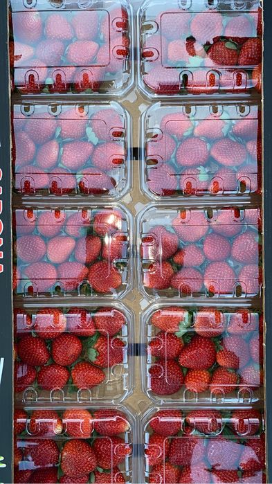 Клубнтка в розницу и оптом