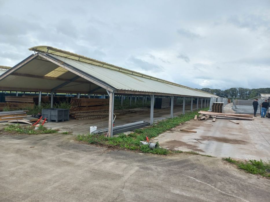 Hale producție sau creștere animale de vinzare