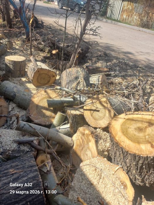 Дрова, пень самовывоз