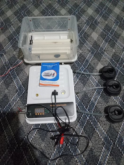 Сотилади инкубатор хизматими бор орзон ва сифатли