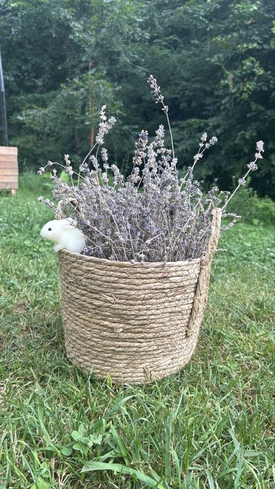 Корзины из лаванды