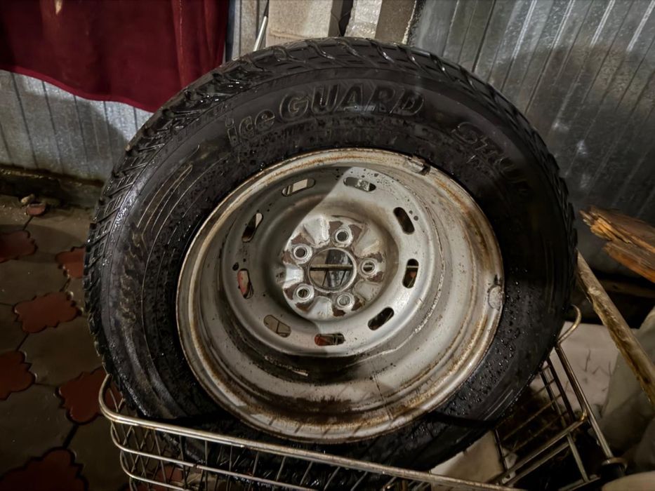 продаю колесо,торга нет!