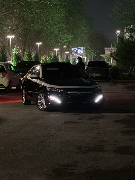 Malibu 2 premer 2022 kraska tozza masla