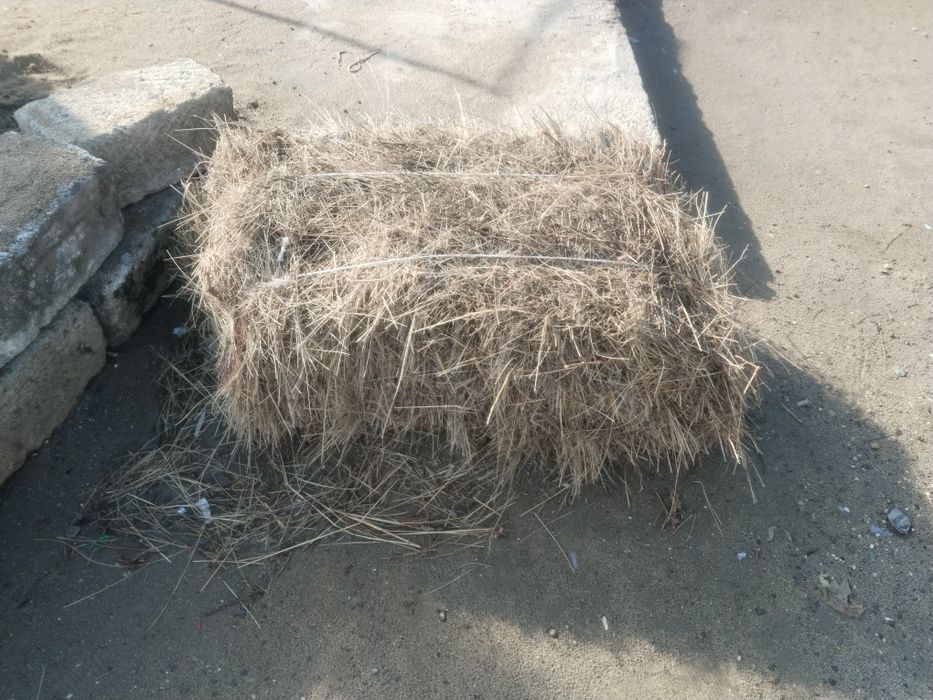 Сено Тюк сено  түк