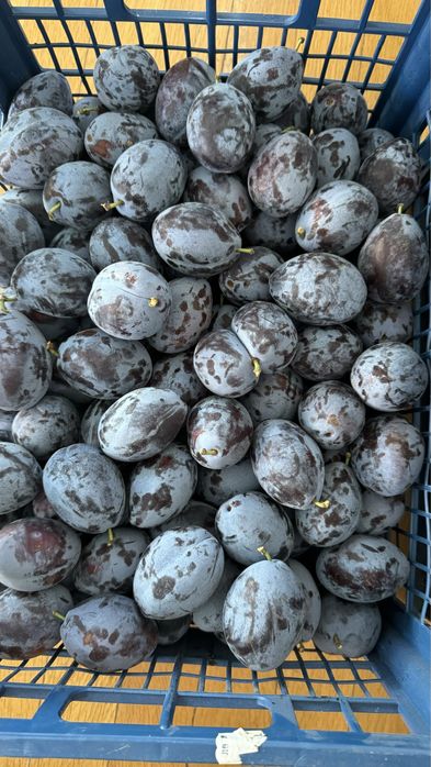 Продава се Земеделски имот в с. Крислово, Област Пловдив -  кв.м за 2267 €/дка - Снимка #1