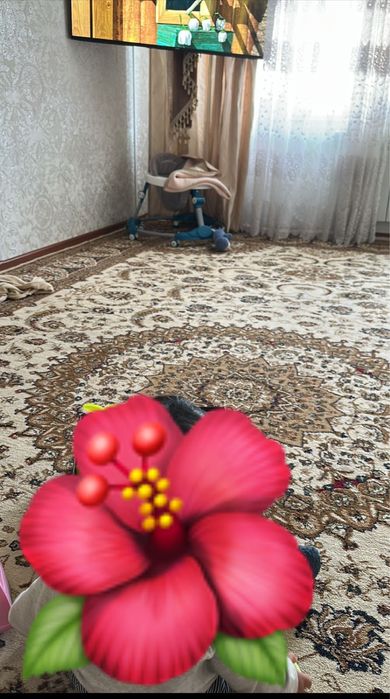 Кавер турецский