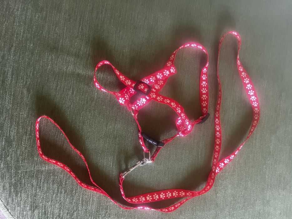 Шлейка для кошки