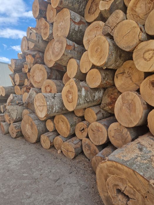 Lemne de foc esență tare.