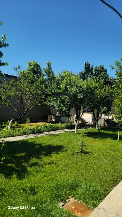 Nazarbek 6,7 sotix xovli sotiladi