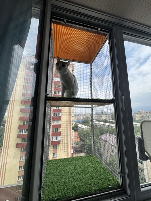 Балконы для питомца
