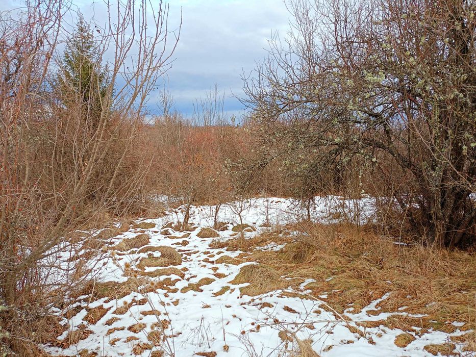 Продава се Парцел в с. Ялботина, Област София-област - 1000 кв.м за 8 €/кв.м - Снимка #3