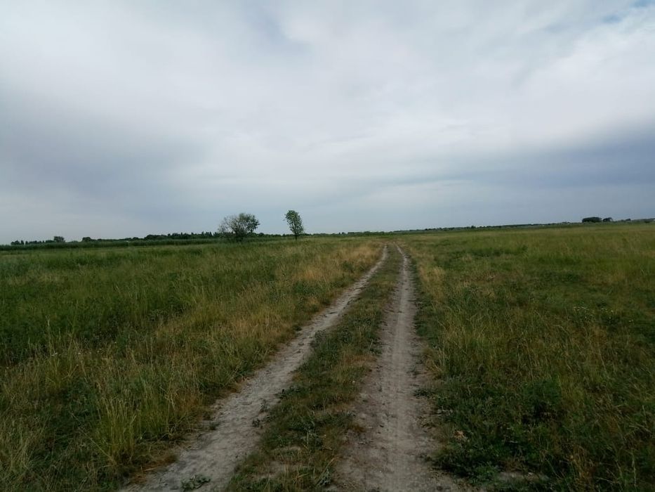 Продам или сдам в аренду участок