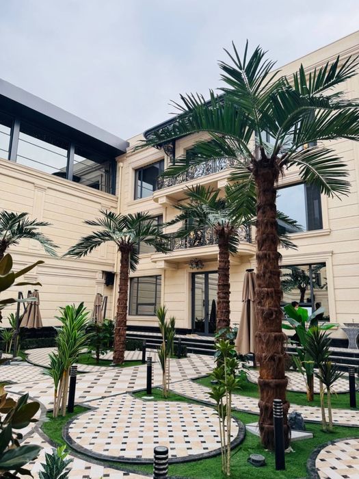 Suniy Eco Palma hizmatlari