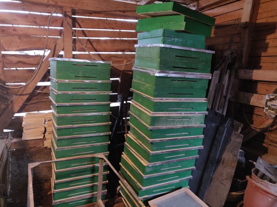 Vand/confecționez stupi