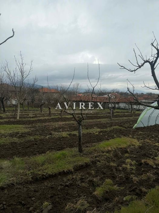 Оферта 05394 - Парцел в с. Искра