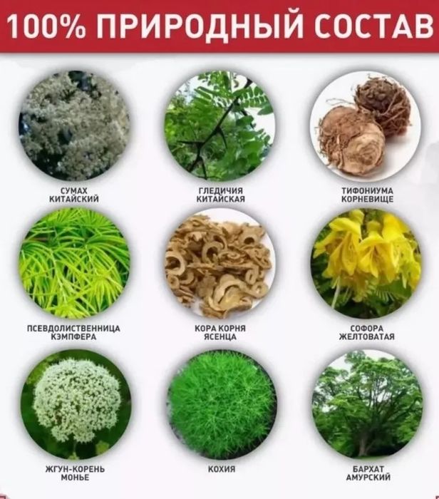 Клетка для хомяка