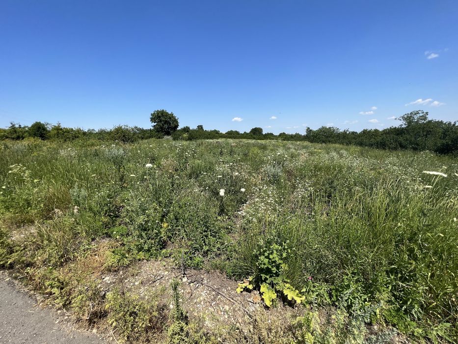 Teren 5100 mp Balteni Deal Vaslui Intravilan si Extravilan Cadastru
