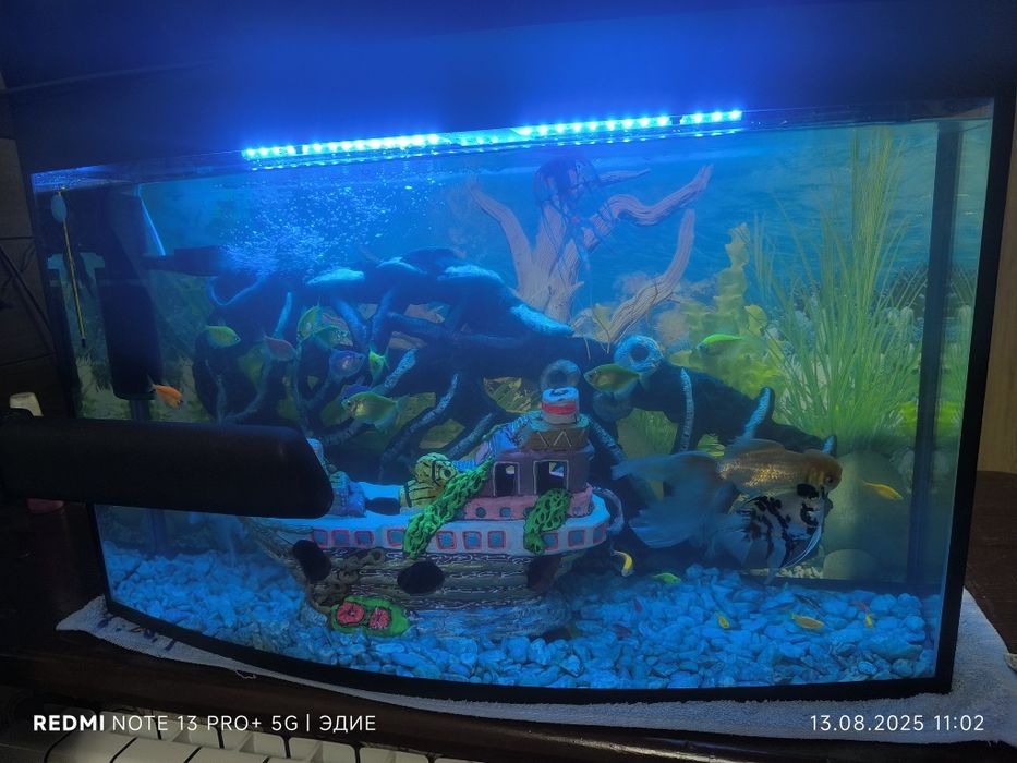 Аквариум 100 литров