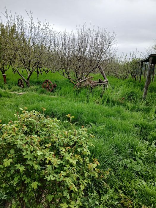 De vanzare casa agro-turistica in Istria
