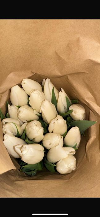 Тюльпаны голландские оптом на 8 марта