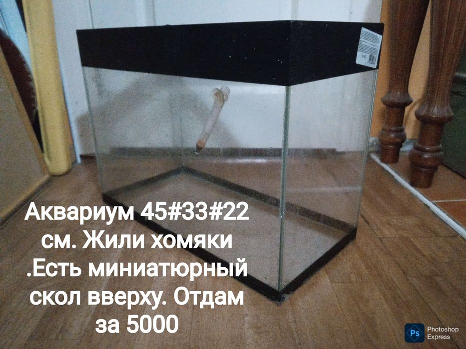 Аквариумы .  Листайте фото