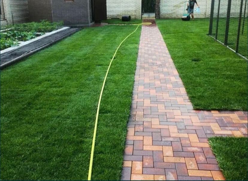 Посевной рулонный газон