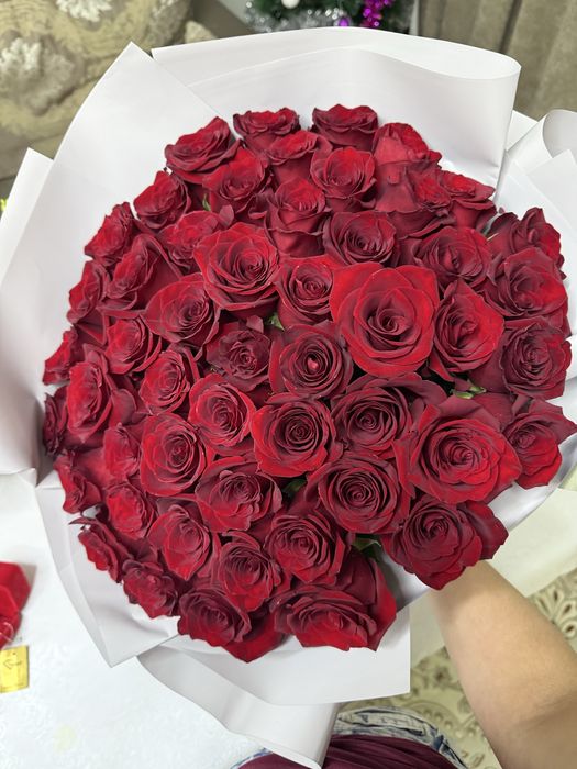 Продам красные розы
