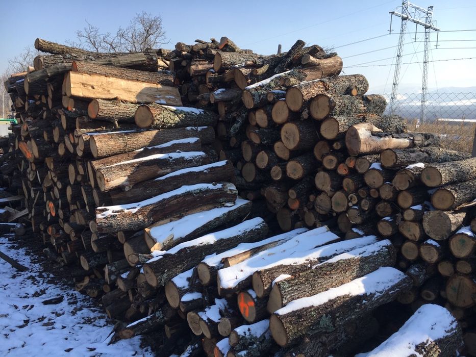 Дърва за огрев от 70€ реален кубик