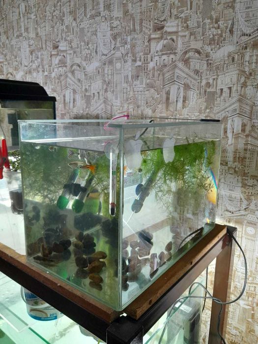 продажа аквариумов