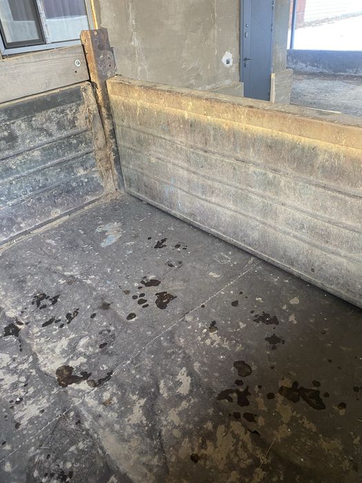 Продам рабочую лошадку