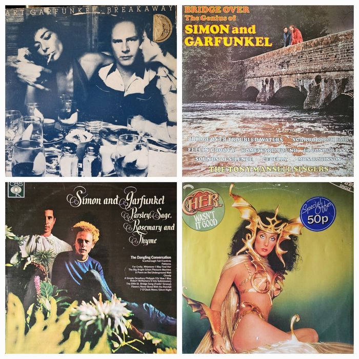 Discuri vinil (vinyl)