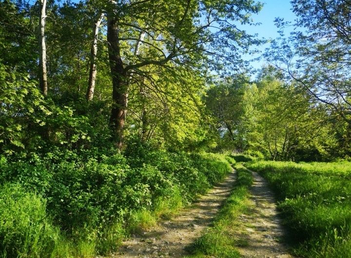 Продава се Парцел в с. Лешница, Област Благоевград - 677 кв.м за 87 €/кв.м - Снимка #3