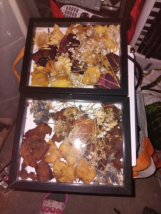 Стенни картини с сухи цветя