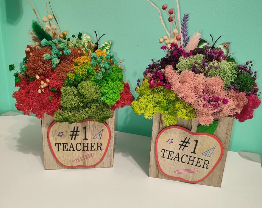 Различни видове кашпи със скандинавски мъх