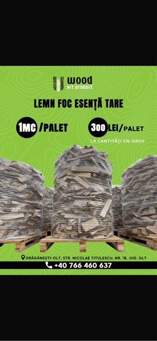 Lemne foc stejar