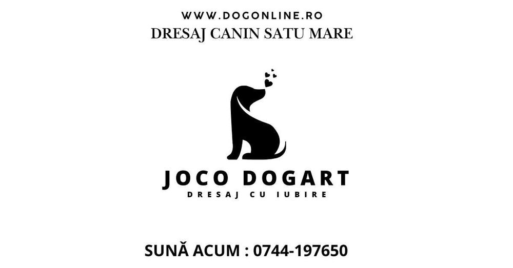 Dresaj canin simplu şi eficient