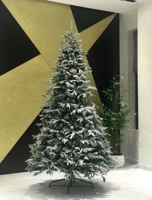 Ёлки северные заснеженные