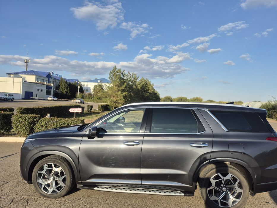 Продам Палисад 2021