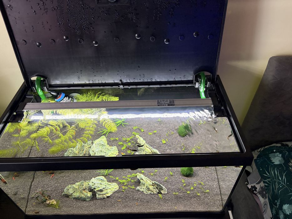 Acvariu Eheim 54l plus Filtru extern Eheim