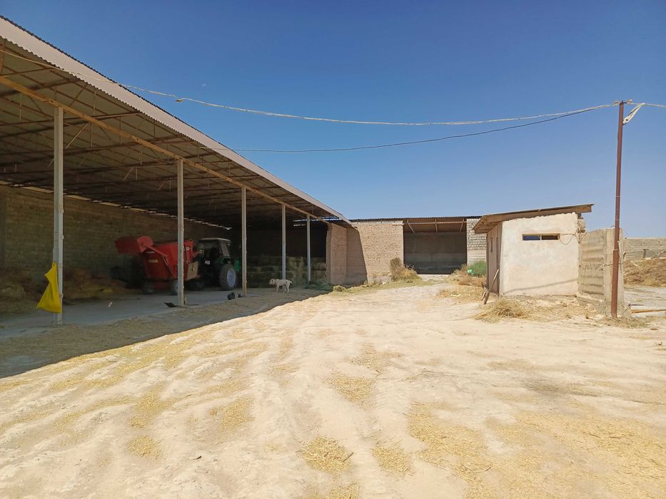 Ферма 3.5 Га город Каттакурган цена 450 000 уе торг есть