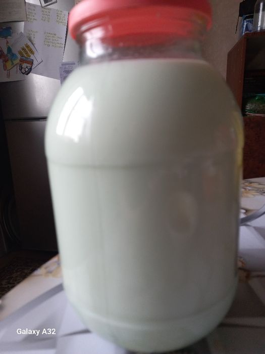 Козье молоко, натуральный продукт