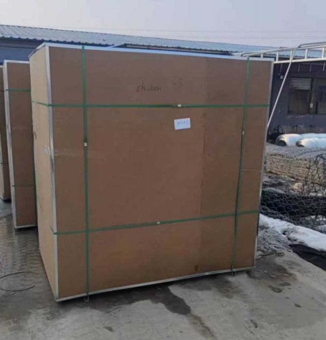 Үлкен инкубатор, автомат