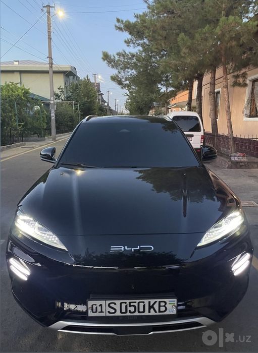 Byd chempion 605