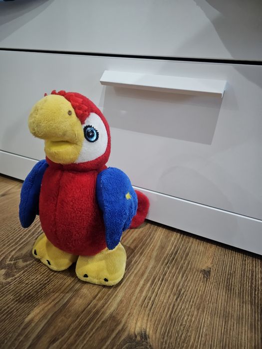 Paco papagalul care imita tot și ajuta copilul sa vorbeasca