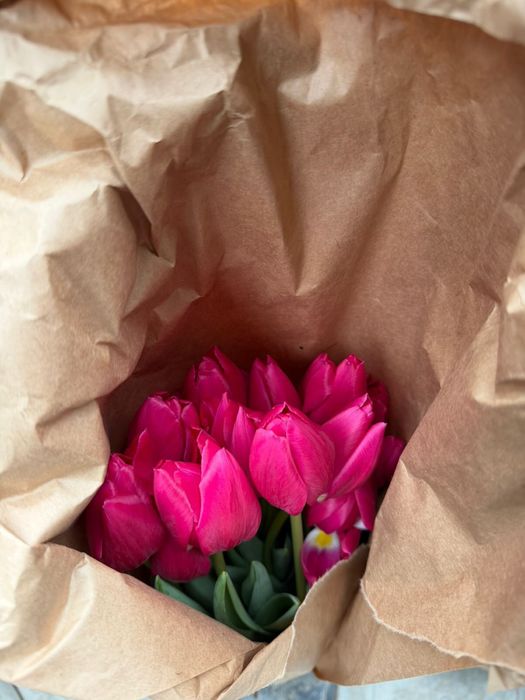 Оптом тюльпанов