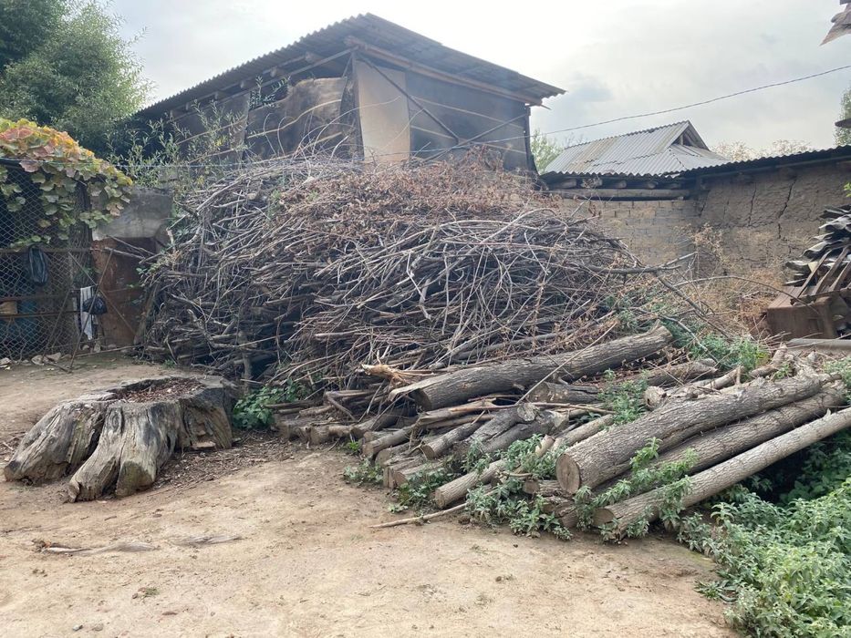 Утин сотилади аралаш