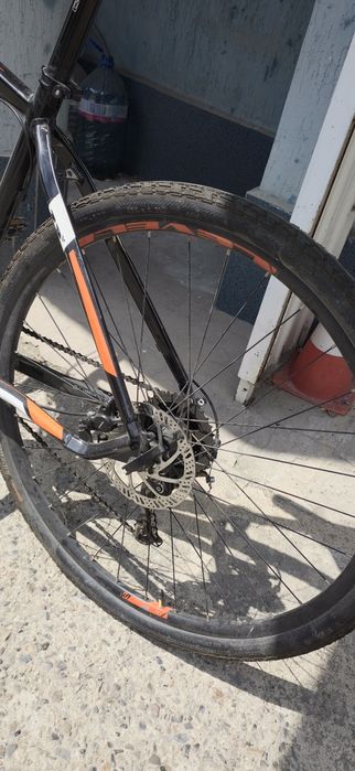 DRAG. Hardy 29 "