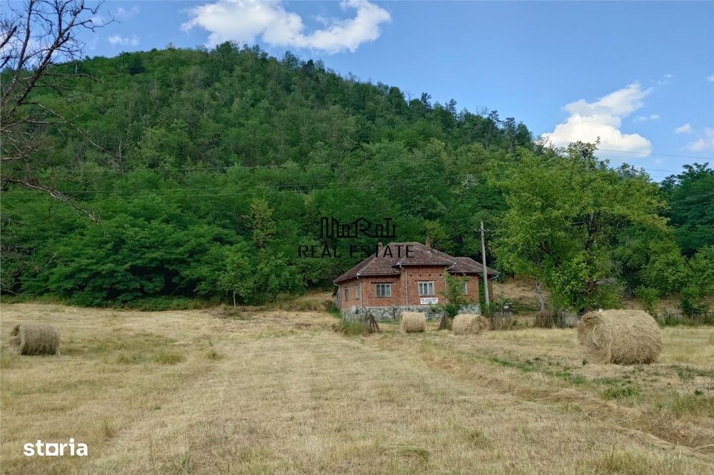 Teren, padure si casa in Dumbrava de Jos, jud. Hunedoara